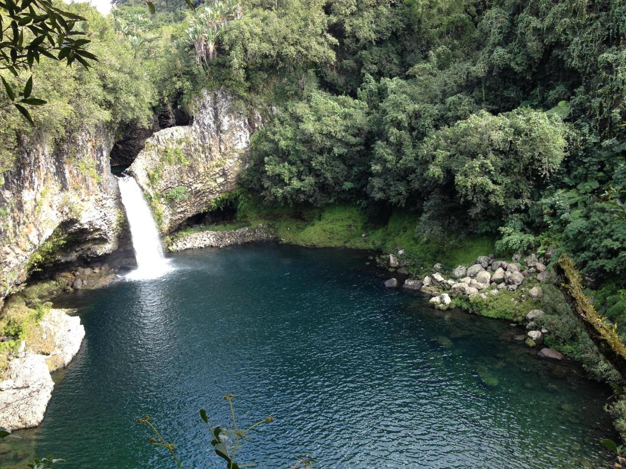 Le Beau Vallon 1- Jacuzzi Privatif Et Piscine Chauffee Partagee Saint-Benoît Eksteriør bilde